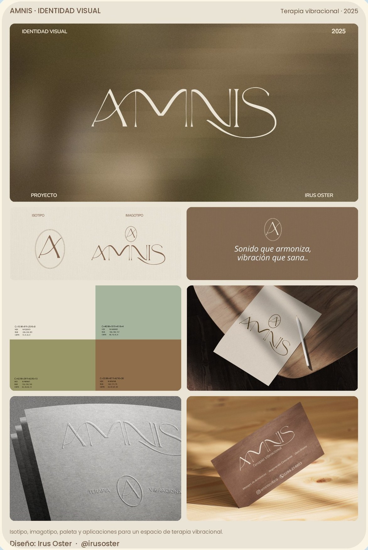 Identidad visual Amnis
